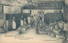 Montebello Primi 900, Le