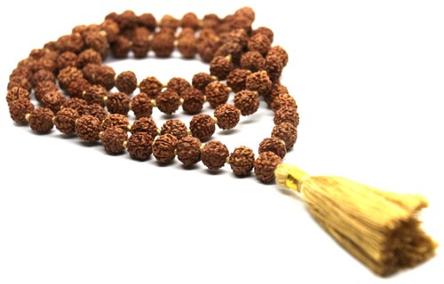Rudraksha premium rudraksh - rudraksha,