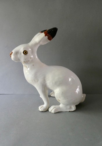 Grand lapin blanc - lapin,