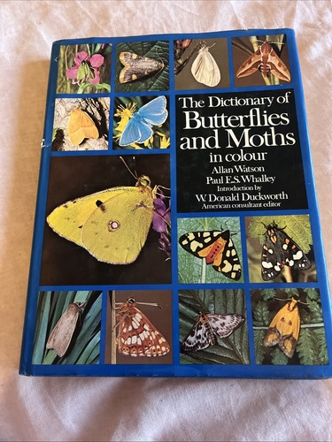 The dictionary butterflies - dictionary,