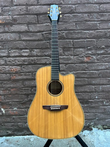 Takamine 100 string - takamine,