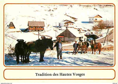 Carte postale animaux - animaux,