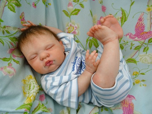 Reborn baby boy - , sean