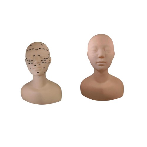 Tête mannequin - tête,