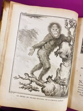Buffon histoire naturelle - -,