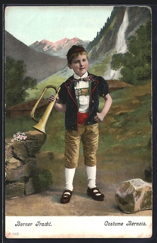 Carte postale costume - , bernois