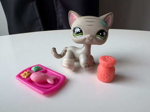 Petshop chat européen 483 - chat,