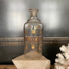 Violet A la Reine des Abeilles