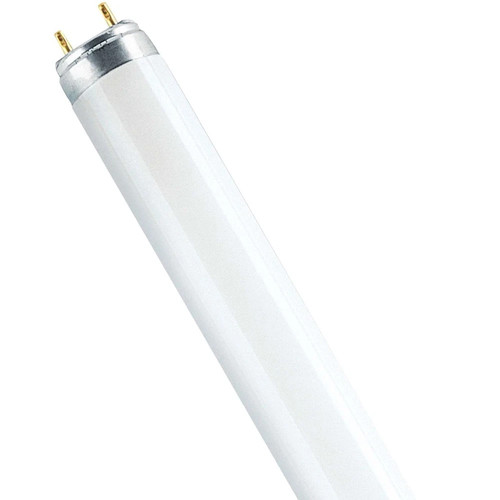 Tube néon osram - tube, cool