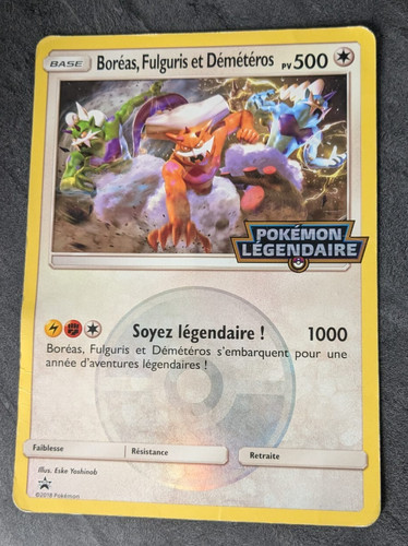Grande carte pokemon - carte,