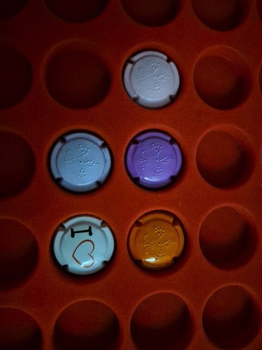 Lot capsules champagne - 5,