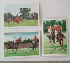 POLO / POLO-CROSS 1967