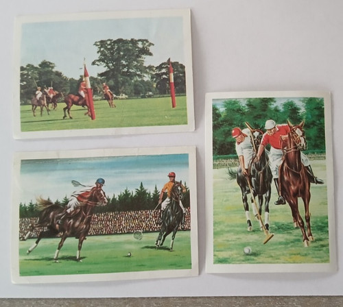 Polo cross 1967 - polo, /