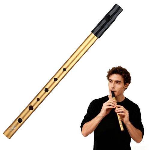 Tin whistle irlandais clé - whistle,