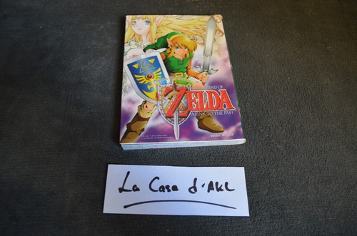 The legend zelda link to - the,