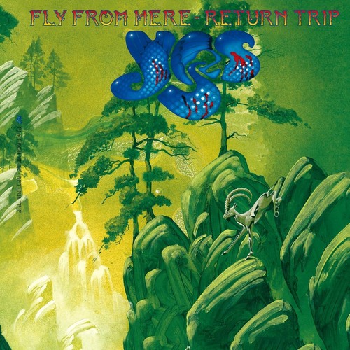 Oui fly from here return - from,