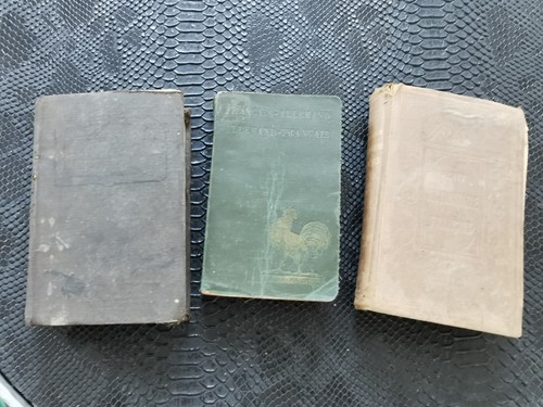 Dictionnaires français - 3,