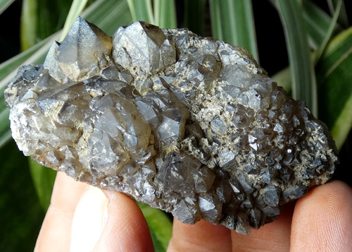 Quartz fumé intense beauvoir - fumé,