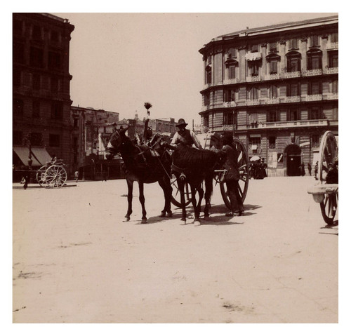 Italie naples un attelage - naples,,