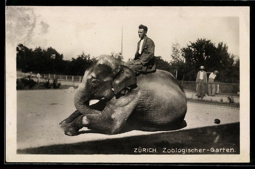 Carte postale photo - , zurich