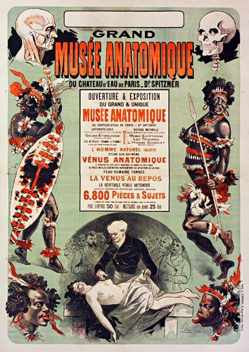 Grand musée anatomique paris - grand,