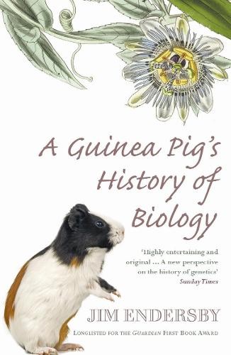 Jim endersby guinea pig - jim,