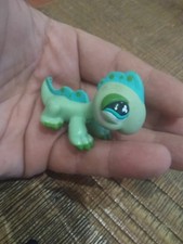 Petshop iguane lézard reptile