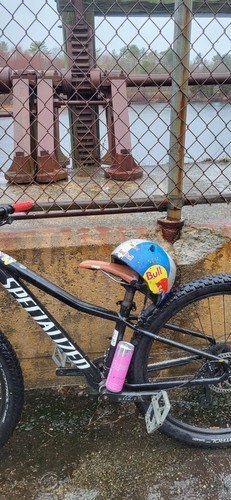 Specialized rockhopper - specialized, 29