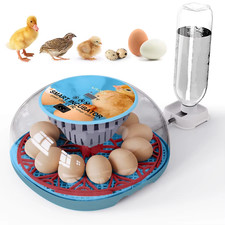 Petit Incubateur Domestique