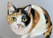 Pastel Calico Cat Original Art