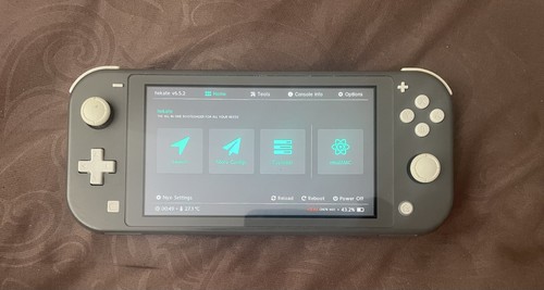 Nintendo switch lite gris mod - lite,