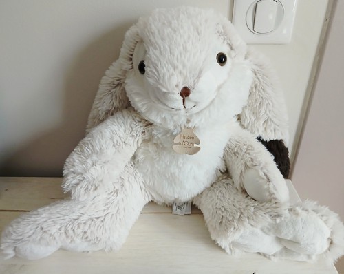Histoire ours grand lapin - d'ours,
