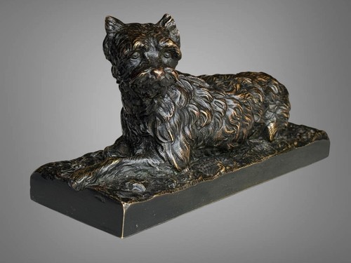 Chien griffon couché en - ,