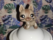 littlest petshop,berger