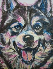 Tableau dessin Chien Loup