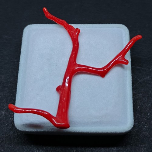 Véritable branche italienne