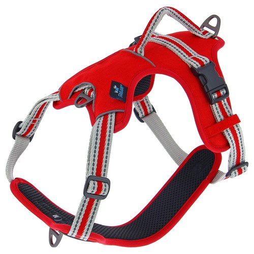 Harnais dynamic rouge - rouge,