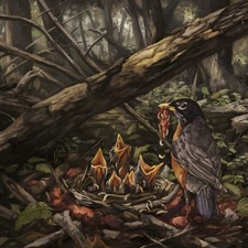 The Acacia Strain Step Into the Light (Vinyl) 12" Album Coloured Vinyl