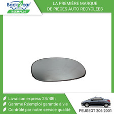 🏆 GLACE RETROVISEUR EXT D