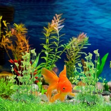  2 pièces décorations