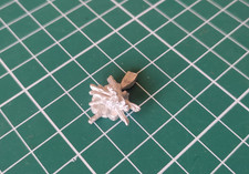 Seigneur des anneaux / lotr /