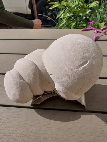 5kg gogotte foetus de - foetus", la