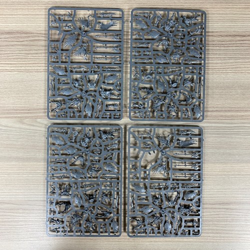 Guerriers acolytes kairic - 20,