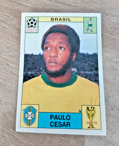Sticker panini world cup story - world,