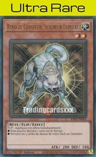 Yu-Gi-Oh! Ryko le Chasseur