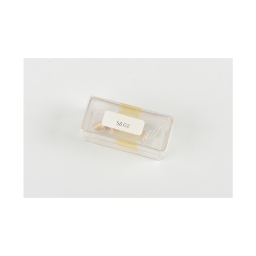 Amati am5602 polena femme - am5602,