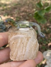 Bronze De Vienne Ancien