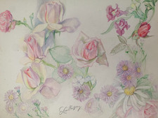Ancienne planche dessins - ancienne,