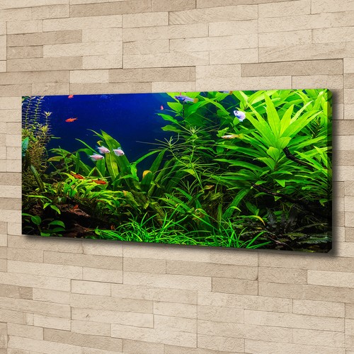 Tulup image sur toile - sur, tableau
