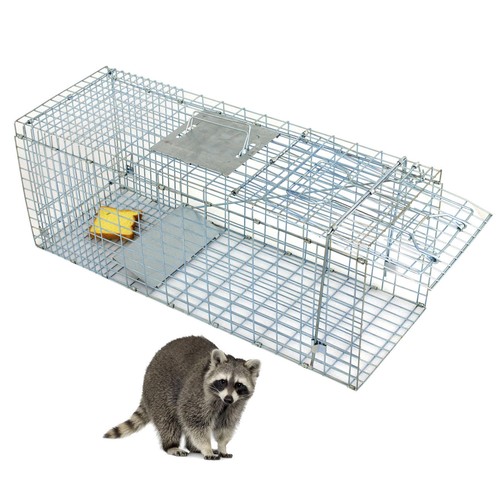 32x12x12 steel cage live - 32x12x12,
